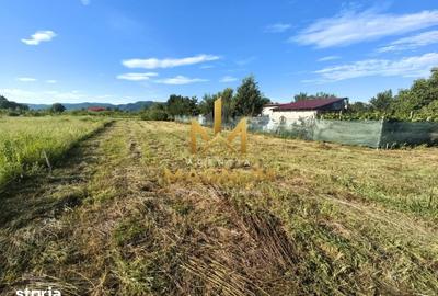 Teren de 600 mp, în Tăuții-Măgherăuș - 3