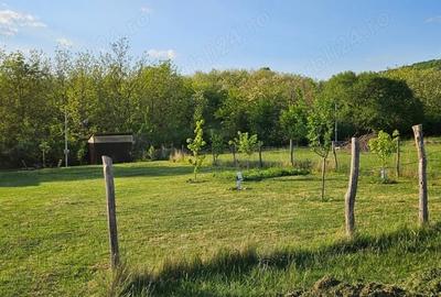 Teren intravilan de 400 mp, în Șiria - 1