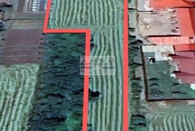 Spațiu comercial, în Homocea - 2