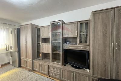Apartament cu 1 camere semidecomandat, mobilat în Micălaca - 2