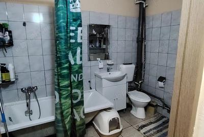 Apartament cu 2 camere decomandat în Brestei - 4