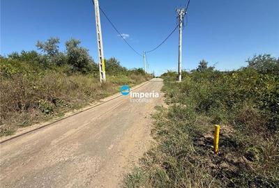 Teren Construcții extravilan de 1000 mp, în Șorogari - 3