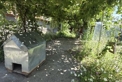 Casă cu 4 camere cu Teren 500 Mp în Radu Negru