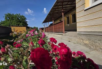 Casă cu 3 camere semidecomandat cu Teren 1807 Mp în Diosig - 5