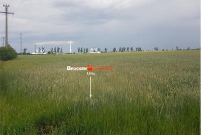 Teren de 94400 mp, în Vest - 8