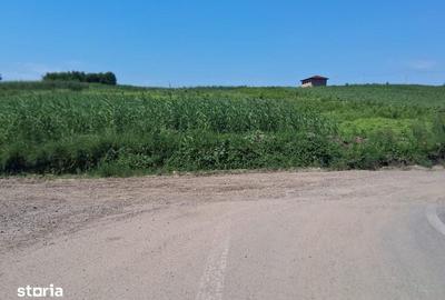 Teren de 500 mp, în Miroslava - 5