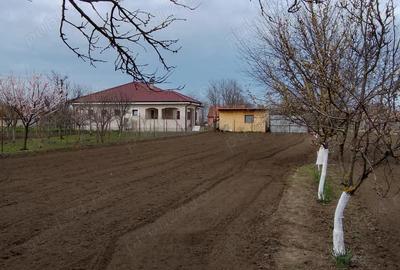Casă în Iecea Mare - 5