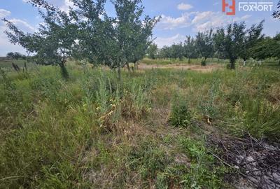 Casă individuală cu 5 camere cu Canalizare în Șagu - 4
