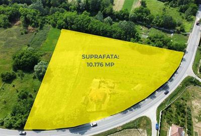 Teren Construcții intravilan de 10176 mp, în Mihăești - 2