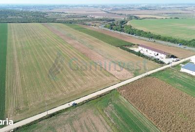Teren de 66400 mp, în Central - 3