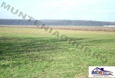 Teren de 20000 mp, în Afumați - 10