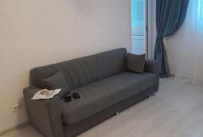 Garsonieră decomandată în Ozana - 9