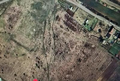 Teren de 1000 mp, în Remetea