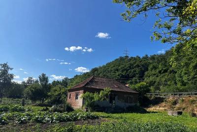 Casă cu 5 camere cu Teren 1800 Mp în Hunedoara