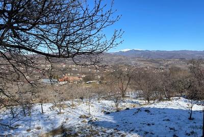 Casă cu 2 camere în Văleni-Dâmbovița