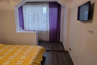 Apartament cu 3 camere decomandat în Calea Caransebeșului - 3