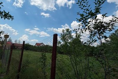 Teren de 2595 mp, în Pișchia - 4
