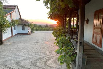 Proprietate specială, de 1,000 mp, în Ghioroc - 6