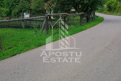 Casă individuală cu 4 camere cu Canalizare în Micănești - 24