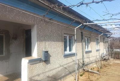 Casă cu Teren 1100 Mp în Breasta - 3