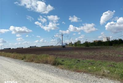 Teren de 20000 mp, în Pielești