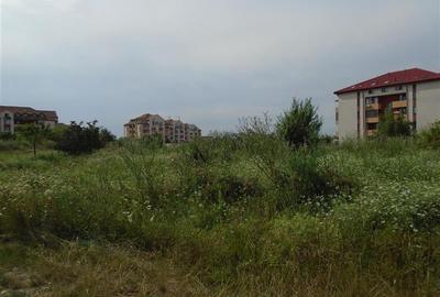 Teren Construcții intravilan de 15000 mp, în Micălaca - 5