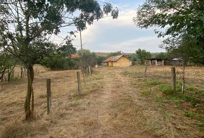 Casă cu 6 camere cu Teren 3400 Mp în Sprâncenata - 9
