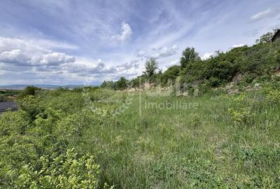 Teren Construcții intravilan de 959 mp, în Dezmir - 3