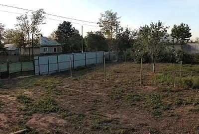 Teren de 2500 mp, în Tovărășia