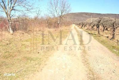 Teren de 1023 mp, în Aninoasa - 3