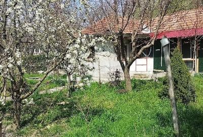 Casă în Racovițeni - 5