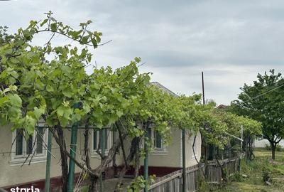 Casă cu 4 camere cu Teren 1110 Mp în Central - 2