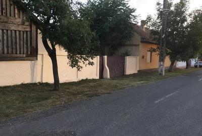 Casă cu 3 camere cu Teren 3300 Mp în Central - 5