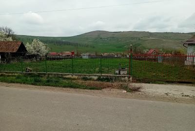 Teren Construcții intravilan de 1450 mp, în Frata - 1
