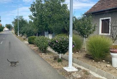 Casă cu 5 camere cu Teren 1080 Mp în Central