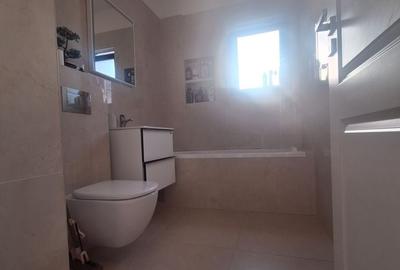Apartament cu 3 camere în Ostroveni