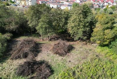 Teren în Câmpului - 5