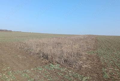 Teren de 1500 mp, în Valea Lupului - 1