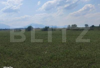 Spațiu comercial, în Prejmer - 3