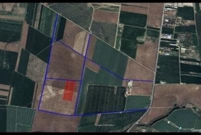 Teren agricol extravilan de 50000 mp, în Snagov - 1