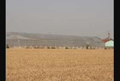 Spațiu industrial, de 7,300 mp, în Uivar - 5