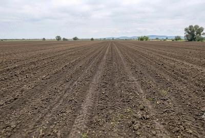 Teren de 2700 mp, în Galicea
