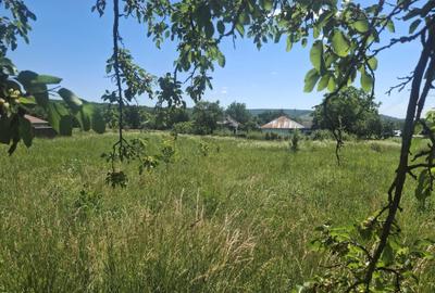 Spațiu comercial, în Vârfu Câmpului - 5