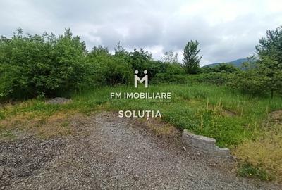 Teren agricol extravilan de 6330 mp, în Valea Borcutului - 3