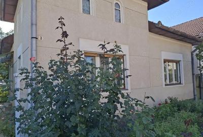 Casă cu 3 camere cu Garaj în Cetate - 6