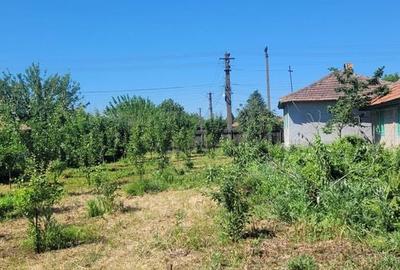 Casă cu 4 camere cu Teren 1600 Mp în Colceag - 1