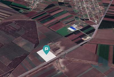 Teren de 48300 mp, în Glina - 2