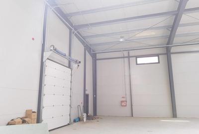 Spațiu comercial, de 760 mp, în Mogoșoaia - 2