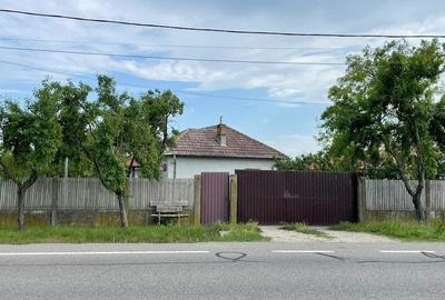 Casă cu Teren 8600 Mp în Giubega - 3