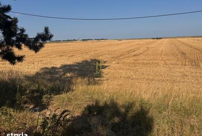Teren de 10200 mp, în Central